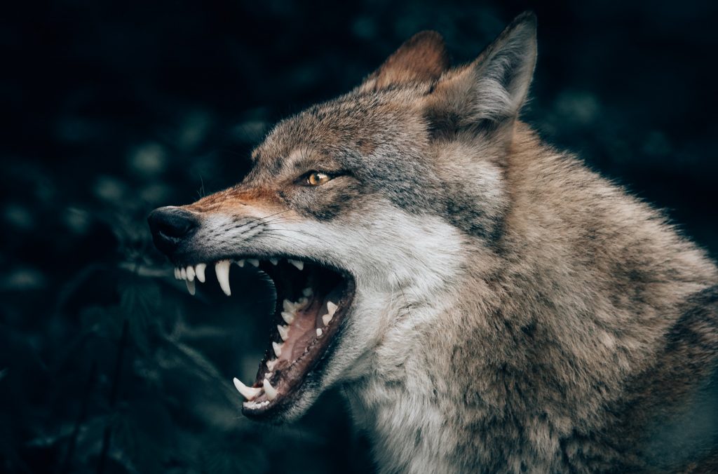 Agressives Reklamieren