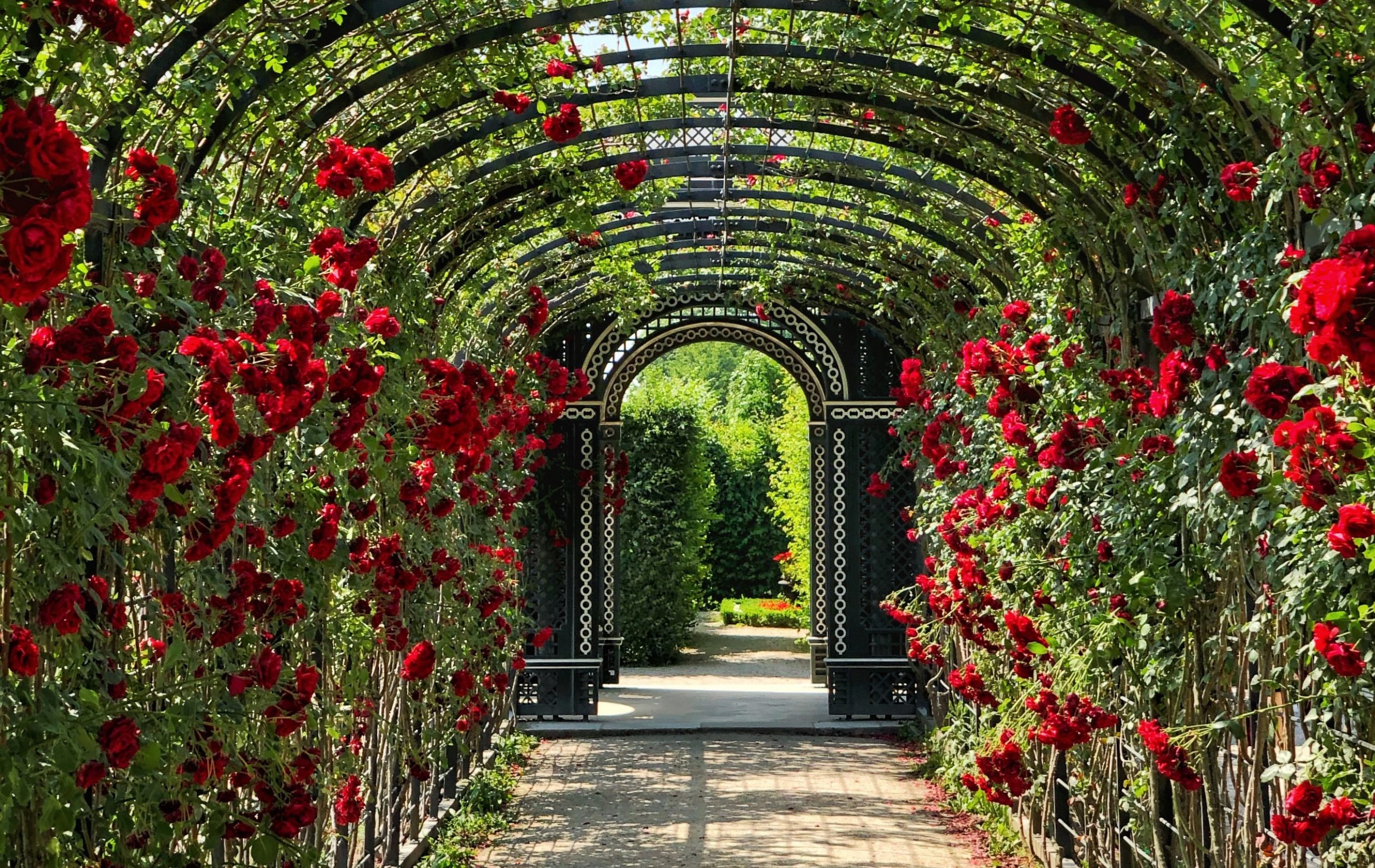 Träumen im eigenen Garten